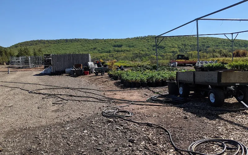 Old Mountain Farm Market — Garden center