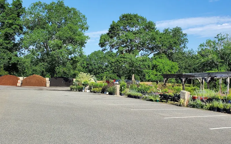 Spillane's Nursery Garden Center — Garden center
