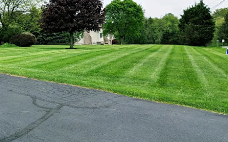Barnes Lawn & Tree Service — attractions