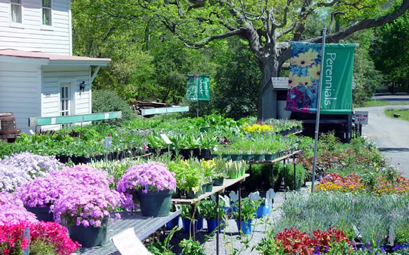 Spring Valley Nurseries — Garden center