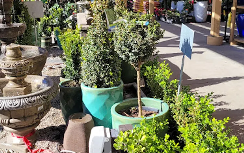 Armstrong Garden Centers — Garden center