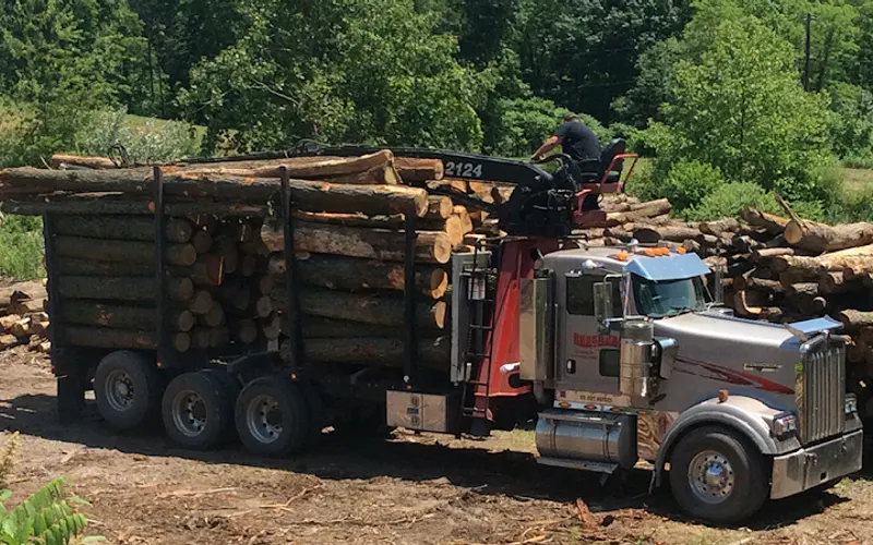 Gessner Logging & Sawmill Inc — Mulch supplier