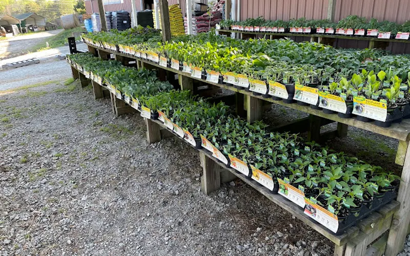 Grovetown Farm & Garden Center — Animal feed store
