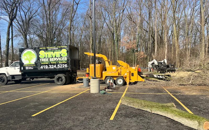 Steve's Tree Services, Landscape, Hauling & Excavating — Tree service
