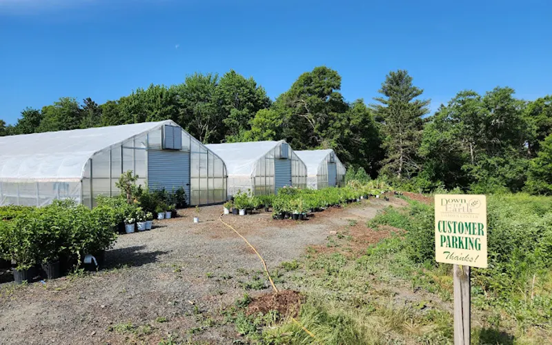 Down To Earth Growing Farm — Greenhouse