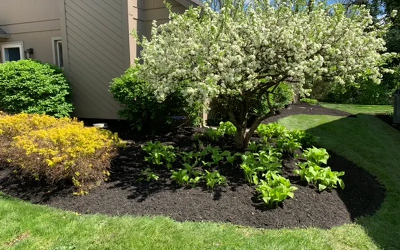 GetMulched.com — Mulch supplier