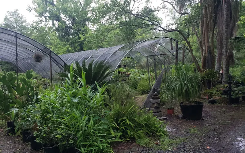 Nine Mile Point Nursery Farms — Plant nursery