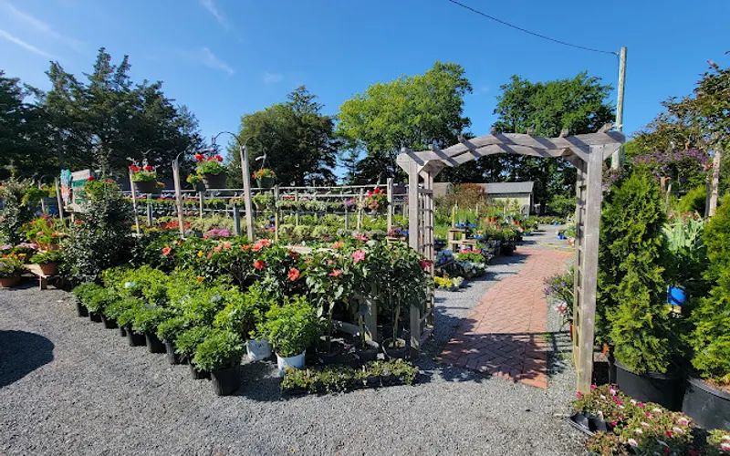 Wharton's Garden Center — attractions