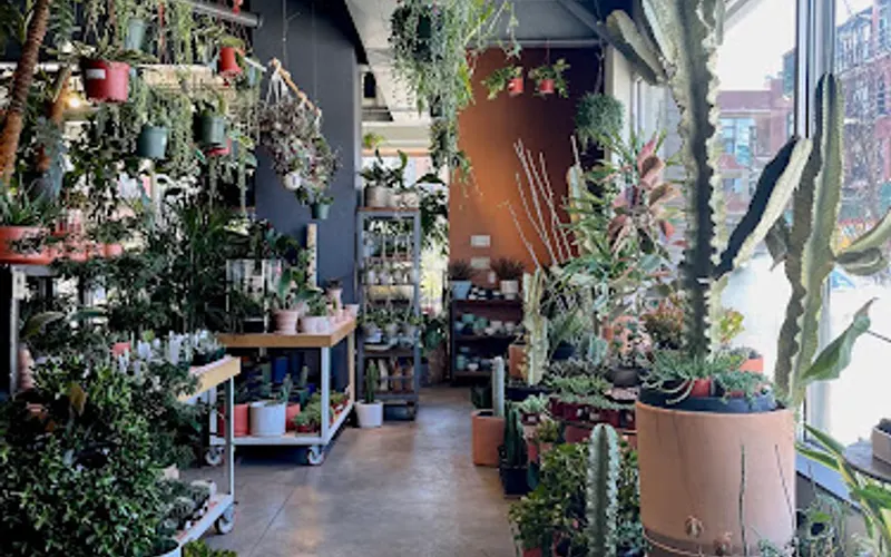 Sprout Home — Garden center
