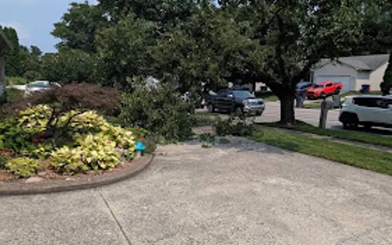 Diamond Landscapes Residential & Supply — Landscaper
