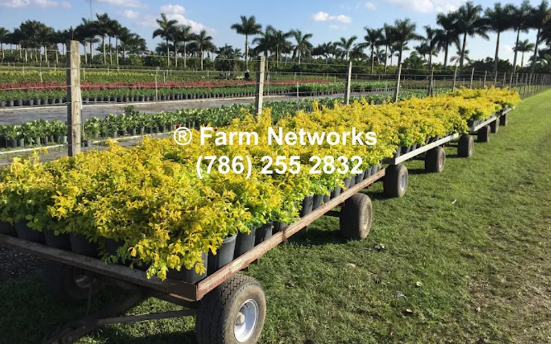 Farm Networks LLC — Wholesale plant nursery