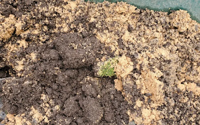 Super-Sod of Charleston — Topsoil supplier