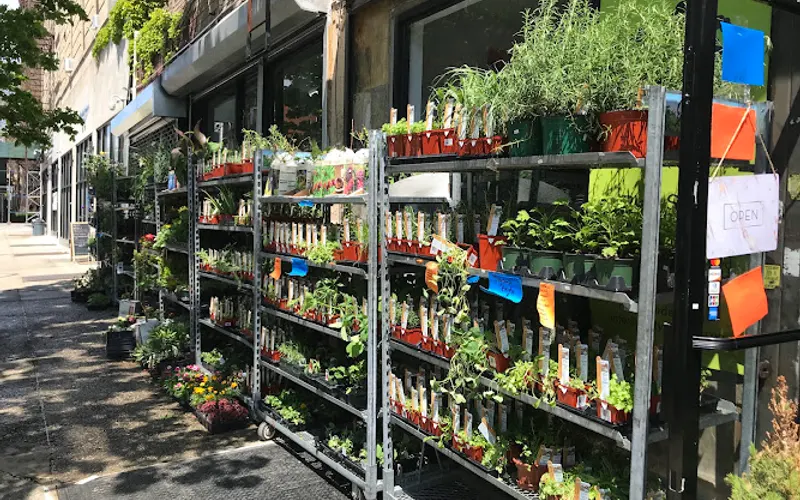 Natty Garden II — Plant nursery
