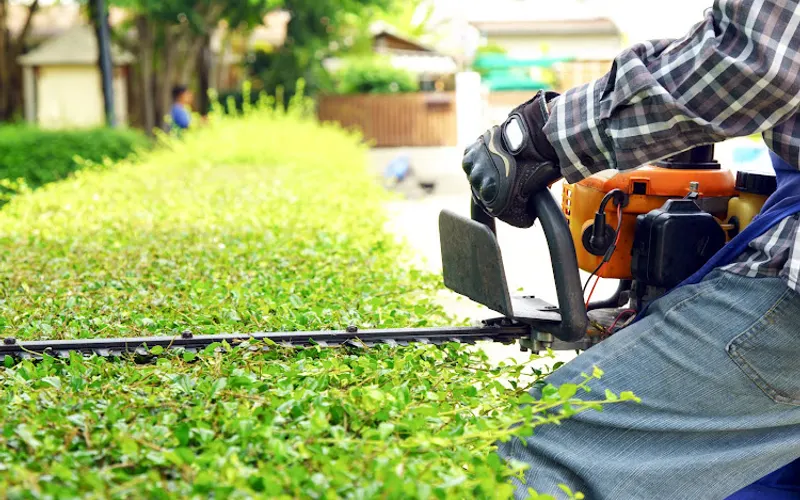 Plowz & Mowz - Lawn Care Service & Snow Plowing — Landscaper