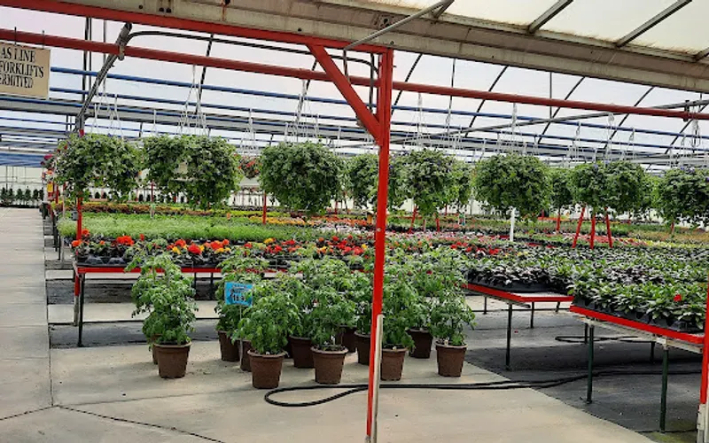 Tom Strain & Sons and Daughter Too LLC — Topsoil supplier