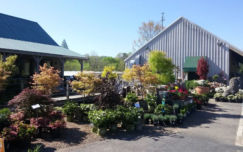 Willow Ridge Garden Center & Landscaping — Landscape designer