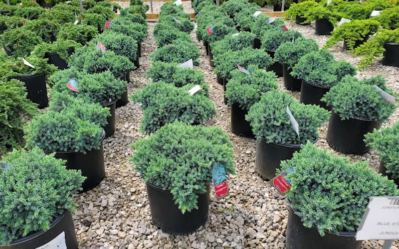 Landscape Supply Inc — Landscaping supply store