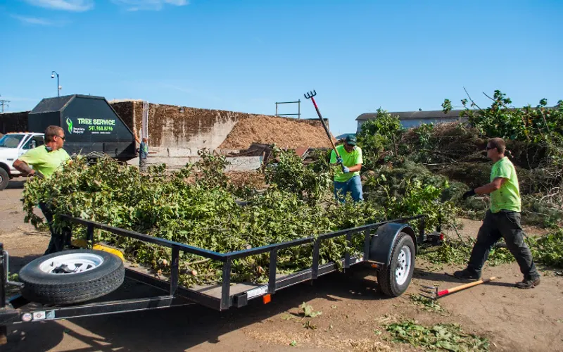 Lane Forest Products Inc — Topsoil supplier