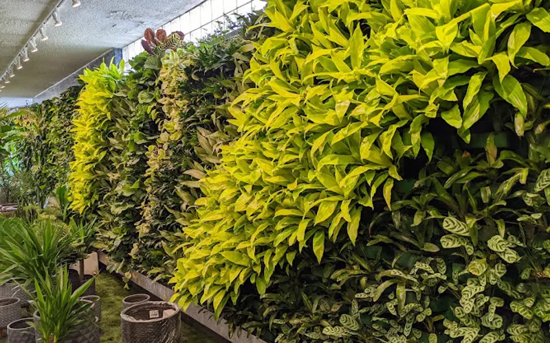Andromeda District — Landscaper