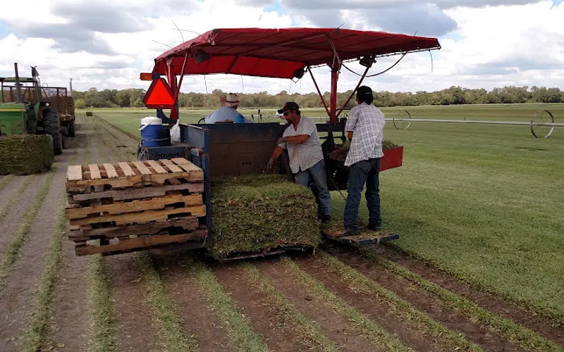 The Grass Store LLC — Sod supplier