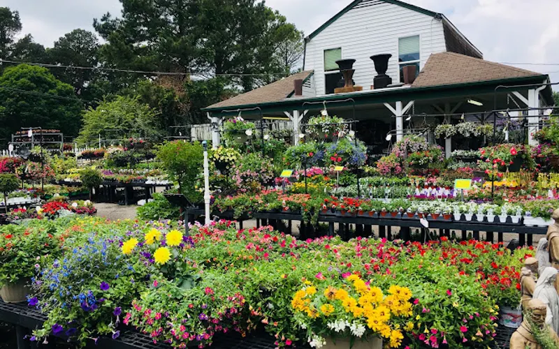Stringer's Poplar Pointe Garden Center — Garden center