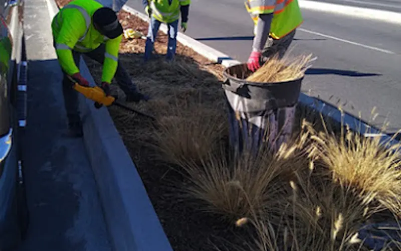 Nakai Construction & Landscaping — Landscaper