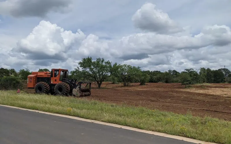 Pierce Land Clearing — Forestry service