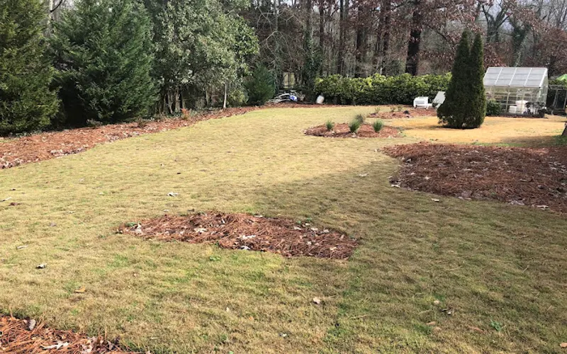 Super-Sod of Alpharetta — Sod supplier