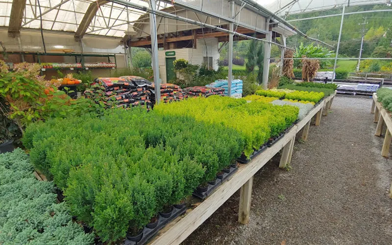 Greenbrier Nurseries — Garden center