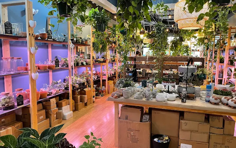 Let's Plant It! — Plant nursery
