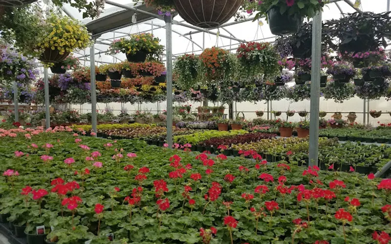 Greco's Indoor/Outdoor Garden Center — Garden center