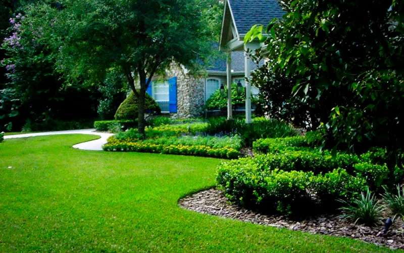 Soriano C Service Landscaping LLC — Contractor