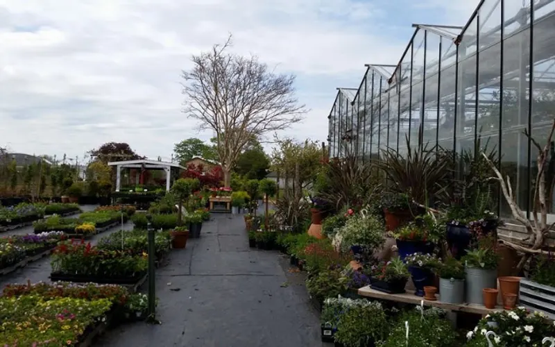 Broadview Gardens EH Inc — Landscape designer