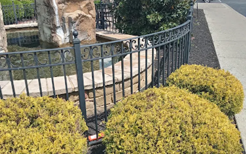 Affordable yard care professional landscapers — Lawn care service