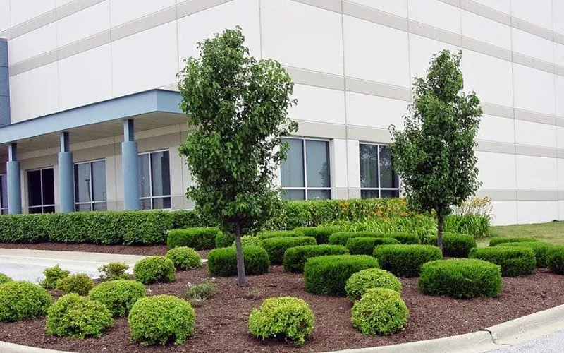 Camphouse Country Landscaping — Landscaper