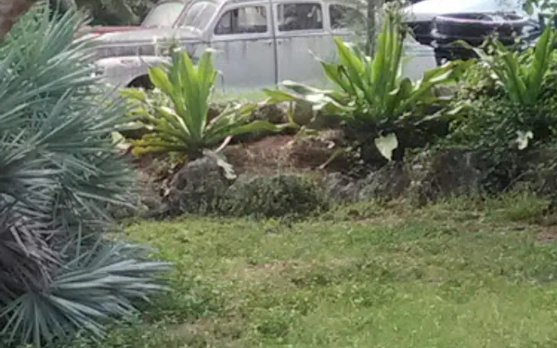 Pine Island Feed — Landscaping supply store