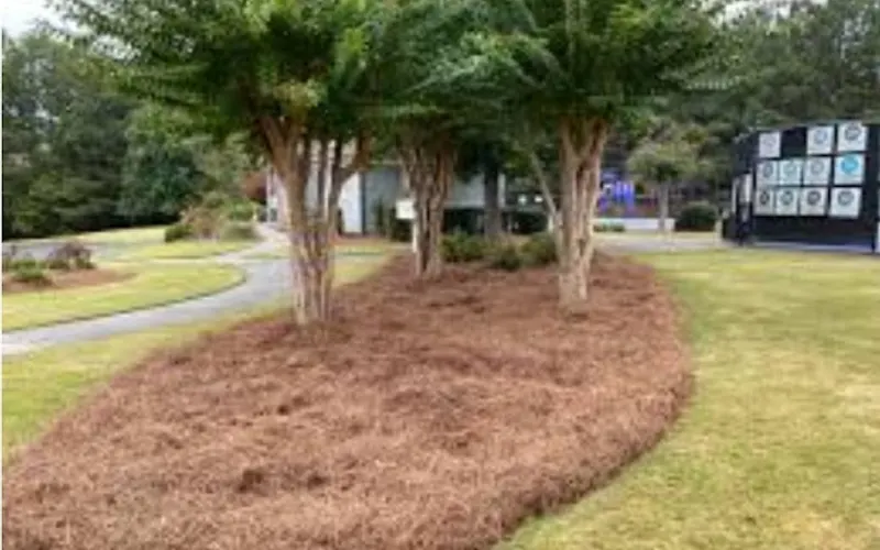 Mulch & Pine Spreaders — Mulch supplier