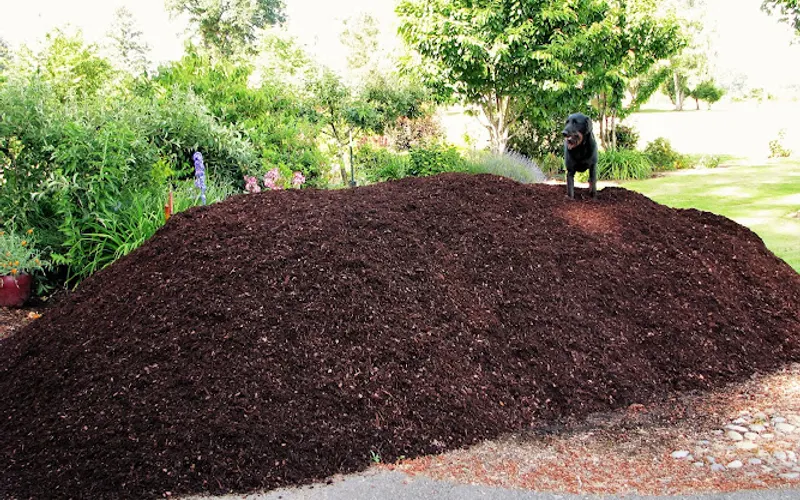 Terra Gardens Nursery & Bark — Sand & gravel supplier