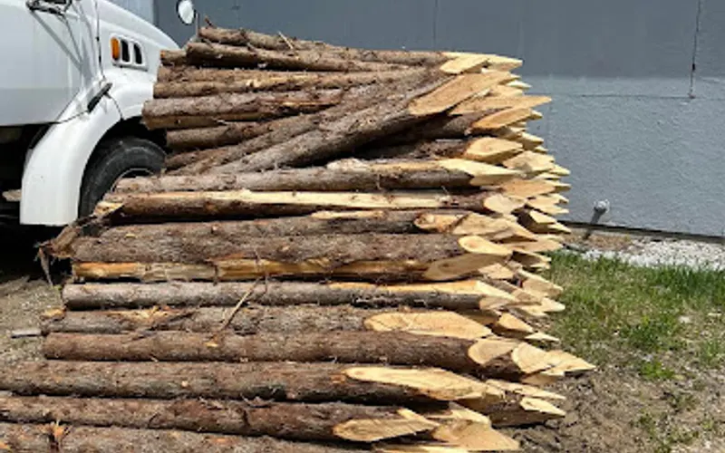 Vermont Natural Forest Products — Agricultural production