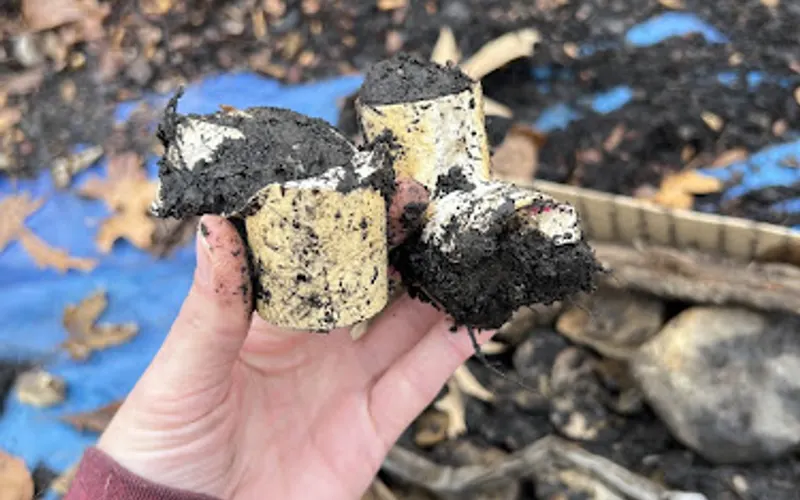 The Mulch Company — Landscaping supply store