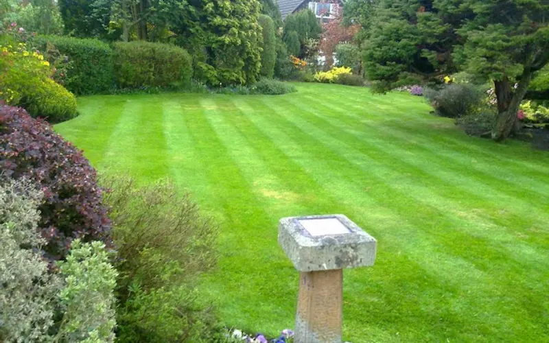 Cut-N-Trim Lawn N Landscape — Lawn care service