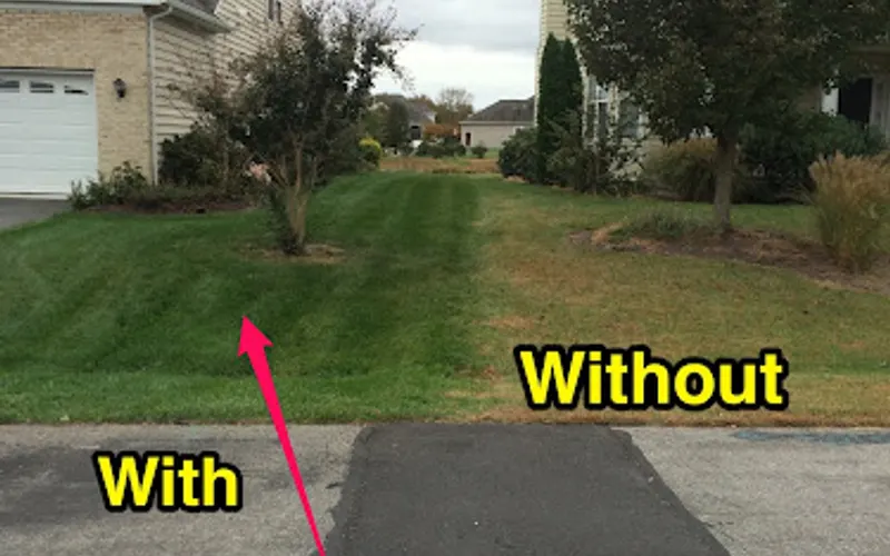 Royal Lawn Care, Inc — Lawn care service
