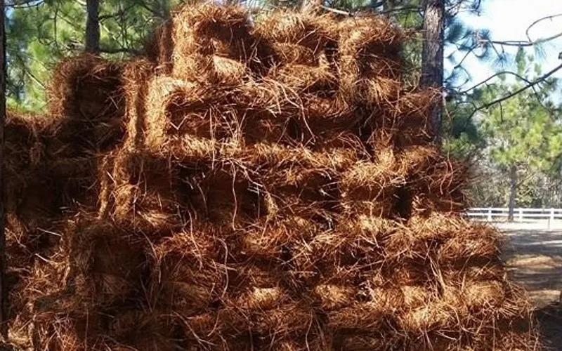 Brian T. Powell Enterprises, Inc. — Mulch supplier