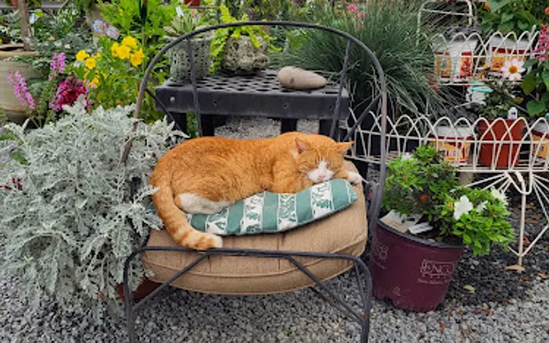 Lex Plant Farm & Garden Center — Garden center