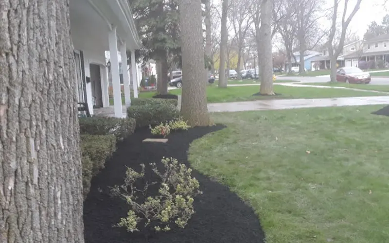 RICO ENTERPRISE (Serving Erie & Niagara county) — Landscaper