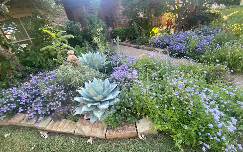 Living Earth - Plano — Topsoil supplier