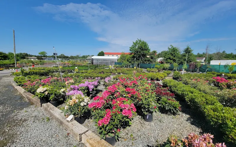 Meadows Farms Nurseries and Landscape — Landscaper