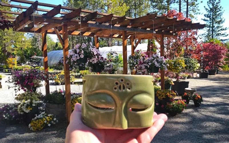 Tahoe Tree Company — Plant nursery