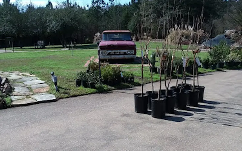 Ellis Home & Garden — Garden center