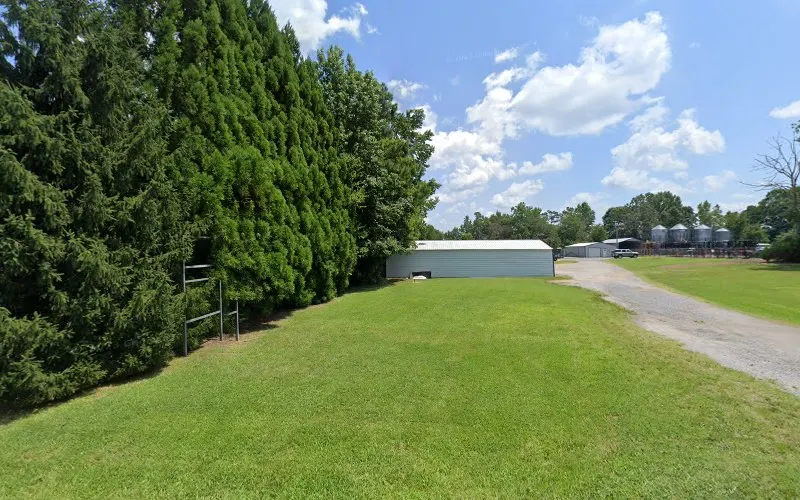 wholesale mulch yard — Wholesaler